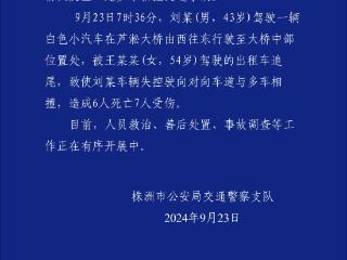 湖南株洲芦淞大桥发生一起多车相撞交通事故致6死7伤