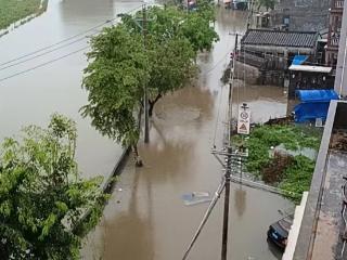 连夜大雨后 澄迈金江大催村水塘边道路出现积水 村民出行受影响