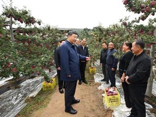 学习进行时丨“让农民腰包越来越鼓、生活越来越美好”——习近平总书记走进田间地头话“三农”