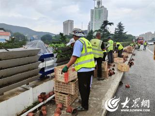 “摆”花齐放 扮靓港城——烟台市园林建设养护中心加快推进国庆布景工作