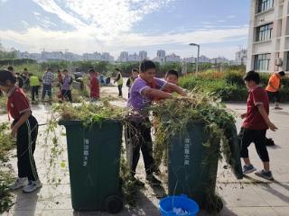 莒南县坪上镇绣针河小学开展劳动实践基地除草播种活动