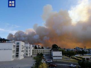 厄瓜多尔首都发生森林大火 城市交通受阻