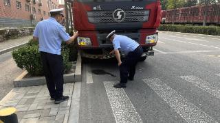 货车司机悬挂假车牌又肇事逃逸，交警化身“心理学家”巧破迷局