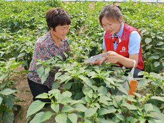 嘉祥农商银行积极助力推动乡村振兴