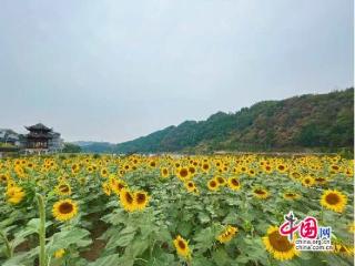 湖南泸溪潭溪镇：抓好基层党建 赋能乡村振兴