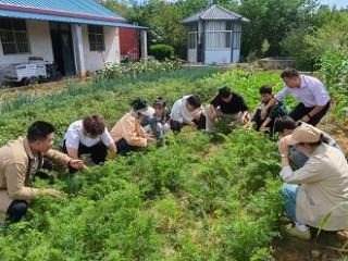 筑梦乡野 助农共话丰收——青岛理工大学临沂校区土木与建筑工程系开展中国农民丰收节主题活动