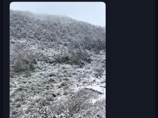 重庆城口下雪了？重庆市气象台：没有监测到下雪