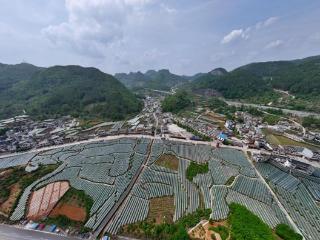 贵州排楼村：巧用法治笔 描绘振兴路