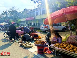 庆丰收 赶大集 看大戏 曹县郑庄街道推出“品味套餐”