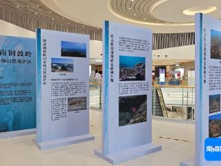 铜鼓岭保护区亮相华鲲海洋公益艺术展 展示珊瑚保护成效