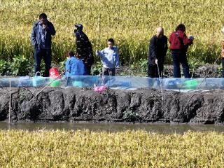 国庆假期首日，唐山市曹妃甸区旅游市场火爆