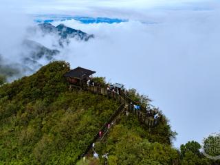 雨后青山秀