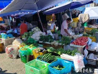 有青叶菜单价破十！济南多种蔬菜价格上涨，何时变回“家常菜”？