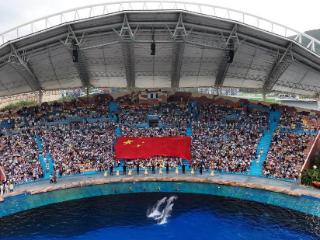 “蓝海护卫队”IP形象“出圈” 海南海洋欢乐世界度假区文旅活动精彩纷呈