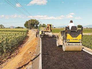 打造高标准农田建设“厦门样板” 我市岛外面积最大的高标准玉米农田建成