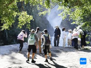 各地游客齐聚昌江霸王岭 体验雨林“森呼吸”