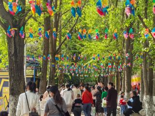 【高清组图】贵阳国庆期间公园人气旺