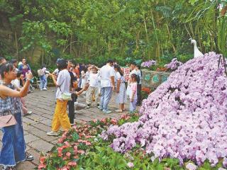 花团锦簇、欢乐游园 厦门园林植物园假期活动丰富