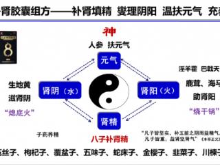 以岭八子补肾：老年糖尿病合并骨质疏松的中医新解