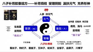 以岭八子补肾：老年糖尿病合并骨质疏松的中医新解