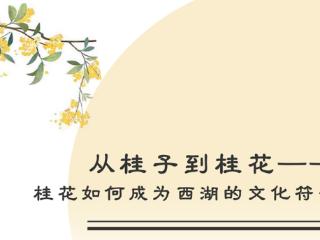 从桂子到桂花 ——桂花如何成为西湖的文化符号