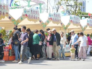 食礼秦淮“惠农市集·园园牵手”系列活动为国庆添色