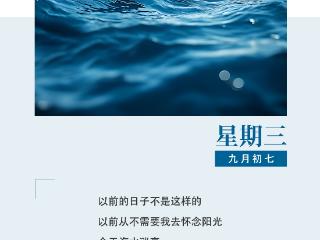 作家日签 | 衣米一：以前从不需要我去怀念阳光