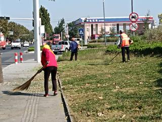 青岛市即墨区蓝村街道：加强环卫一体化建设，助力环境整治再上新台阶