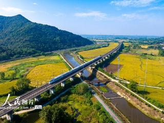 安徽芜湖：金秋田园“丰”景美