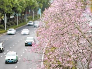 今日重阳我市昼夜温差较大 请市民注意防风御寒