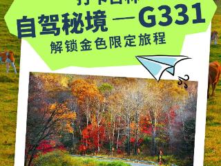 直播预告｜AI在秋天：打卡吉林自驾秘境——G331，解锁金色限定旅程