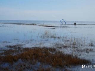 因地制宜 保护利用青海湖湿地