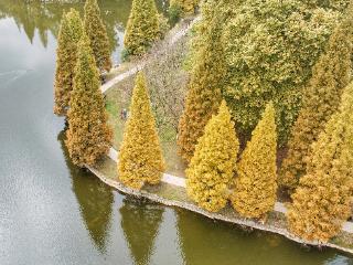 【高清组图】秋天的调色板，贵阳观山湖公园美成油画