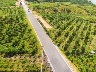 环热带雨林国家公园旅游公路东方段预计年底通车