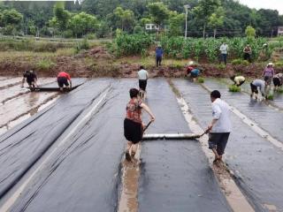 四川简阳：科技特派员助力乡村振兴 走出智慧丰收路