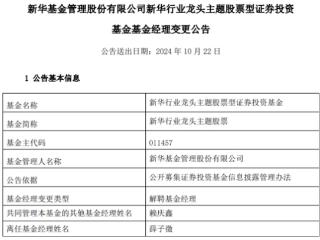 薛子徵离任新华行业龙头主题股票 成立3年半亏损33%