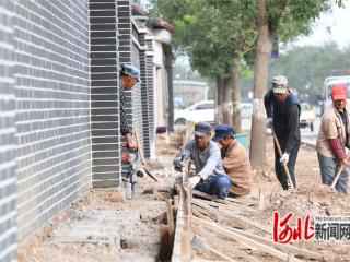 乐亭县胡家坨镇：建强村集体 人人都出力