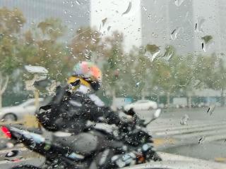 冷风秋雨中的济南，不知不觉间已入深秋