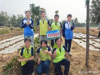 地瓜“变形记”——广平镇麻庄小学举行地瓜主题综合实践活动