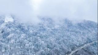 snow walk in 吉林~共赴这场初雪之约