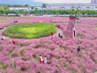 重庆大足区：大地施“粉黛” 秋色梦境十月来