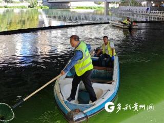 【城市美容师⑤】每天打捞河道水草垃圾4吨 他和同事划着小船守护一湾碧水