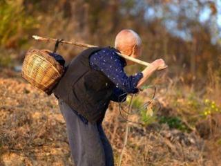 有些人的长寿违反科学常理，爷爷今年94岁，他的长寿让人琢磨不透