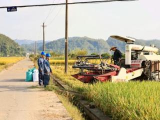 广西灵山：金秋时节收割忙 电力来护航