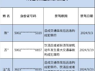 酒后驾驶撞死行人逃逸 终生禁驾