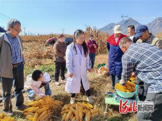 怀来县春玉米高产示范田创张家口市单产新纪录