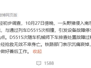 南京野猪侵入铁路致机械师死亡：同日市区发生两起野猪目击事件，近三年涉野猪警情近2000起