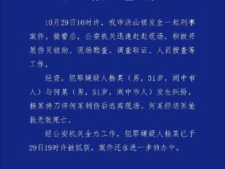 四川阆中警方通报男子持刀行凶致人死亡 ：嫌疑人已被抓获