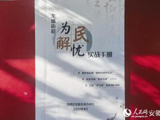 一本薄薄的手册，如何成为基层治理的“掌中宝”？