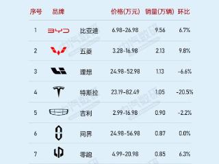 比亚迪称霸中国新能源市场：单周销量榜前十 比亚迪以一打九